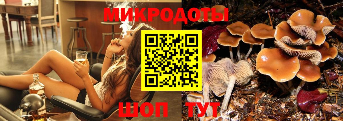Ковров  Псилоцибиновые грибы MAGIC MUSHROOMS  Вход с VPN 
