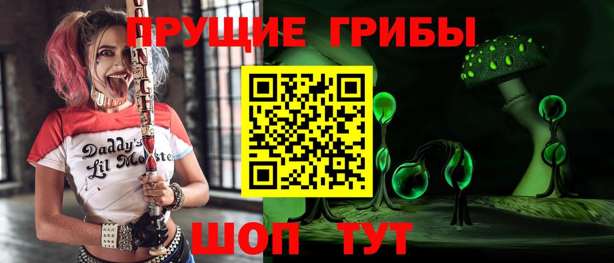 Галлюциногенные грибы Cubensis Ковров